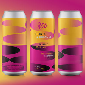 CHANTS AND CHANCES Sour Ale 4-PACK